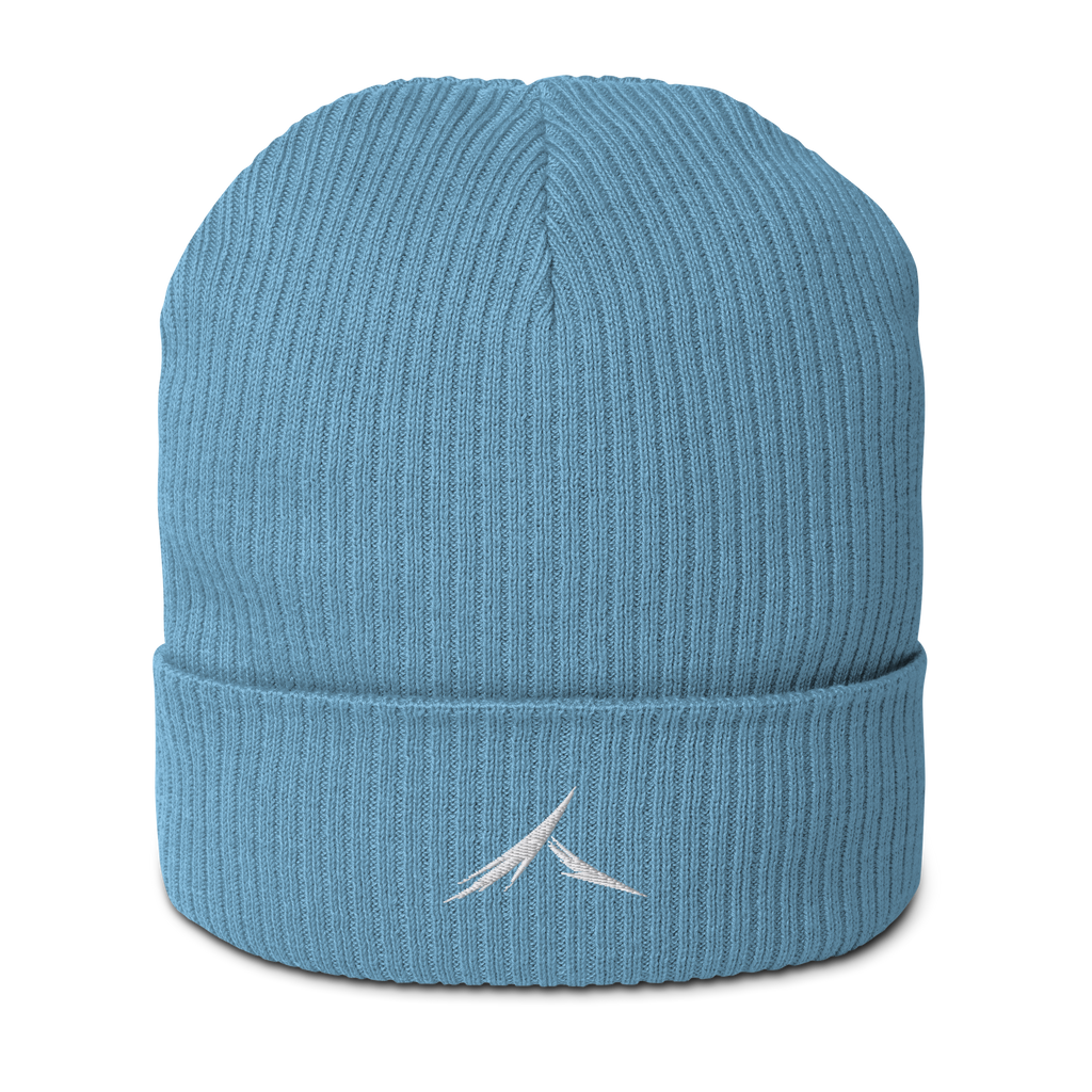 The "Focus" Beanie