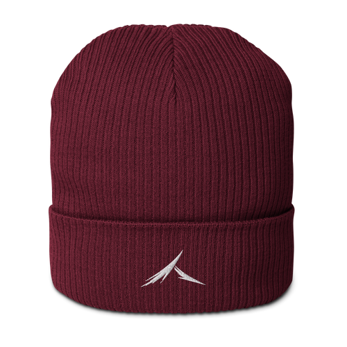 The "Focus" Beanie