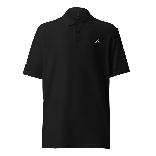 The "Standard" Polo
